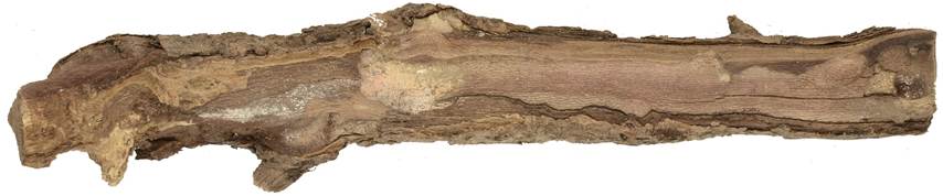 aab Kréta dříšťál.JPG